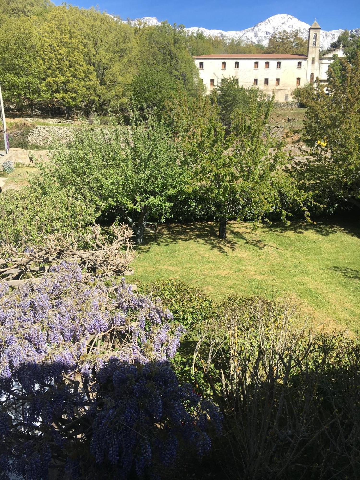Casa Meridiana Calacuccia Szoba fotó