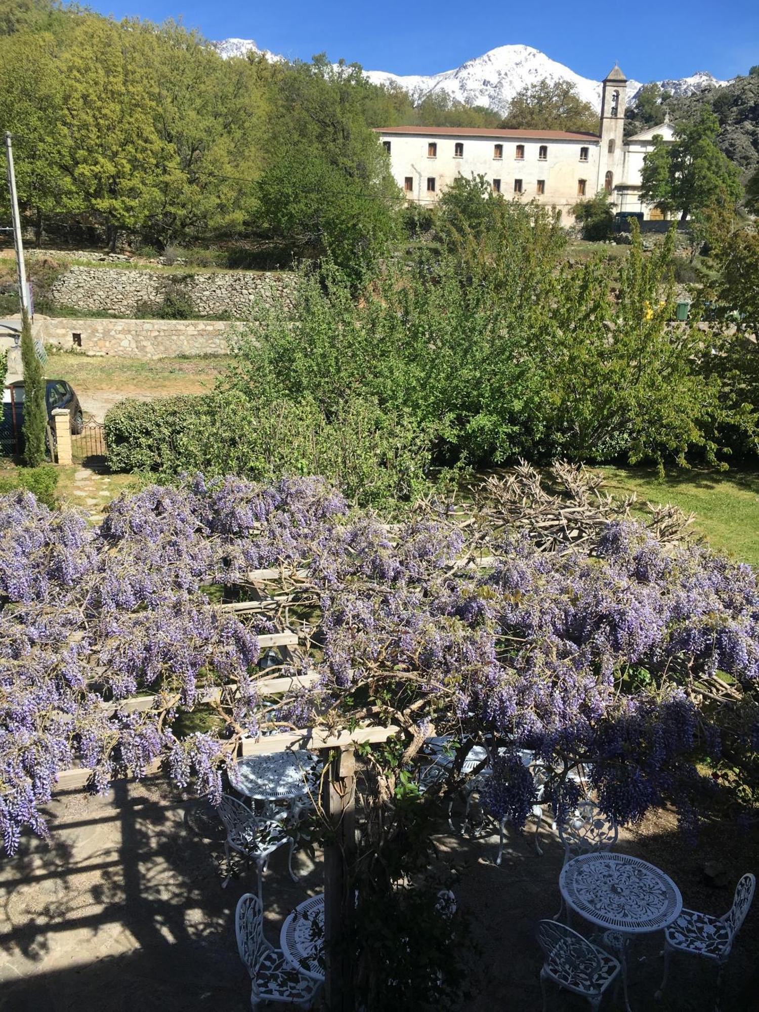 Casa Meridiana Calacuccia Szoba fotó